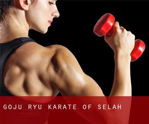 Goju-Ryu Karate of Selah