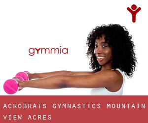 Acrobrats Gymnastics (Mountain View Acres)