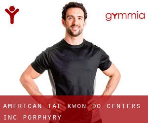 American Tae Kwon DO Centers Inc (Porphyry)