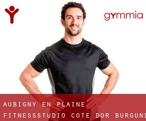 Aubigny-en-Plaine fitnessstudio (Cote d'Or, Burgund)