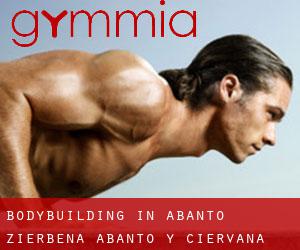 BodyBuilding in Abanto Zierbena / Abanto y Ciérvana