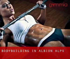 BodyBuilding in Albion Alps