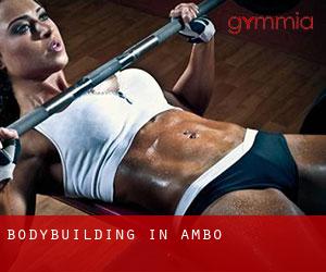 BodyBuilding in Ambo