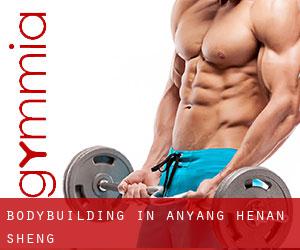 BodyBuilding in Anyang (Henan Sheng)