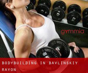 BodyBuilding in Bavlinskiy Rayon