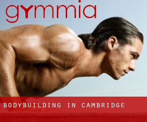 BodyBuilding in Cambridge