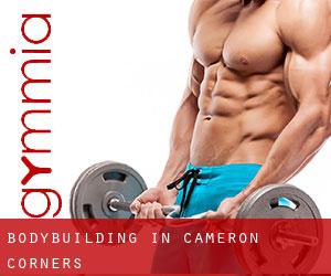 BodyBuilding in Cameron Corners