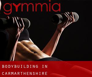 BodyBuilding in Carmarthenshire