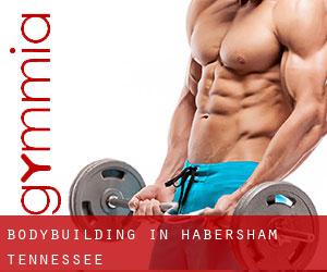 BodyBuilding in Habersham (Tennessee) BodyBuilding in Habersham (Tennessee)