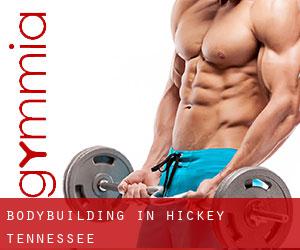 BodyBuilding in Hickey (Tennessee) BodyBuilding in Hickey (Tennessee)