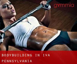 BodyBuilding in Iva (Pennsylvania)