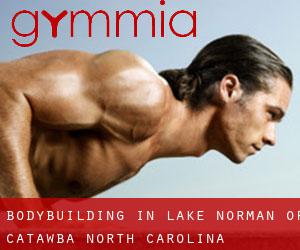BodyBuilding in Lake Norman of Catawba (North Carolina)