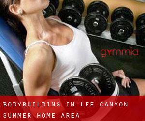 BodyBuilding in Lee Canyon Summer Home Area