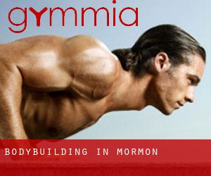 BodyBuilding in Mormon