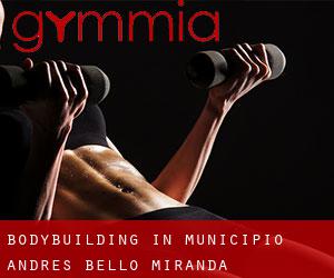 BodyBuilding in Municipio Andrés Bello (Miranda)