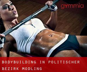 BodyBuilding in Politischer Bezirk Mödling