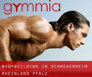 BodyBuilding in Schwegenheim (Rheinland-Pfalz)