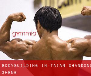 BodyBuilding in Tai'an (Shandong Sheng) BodyBuilding in Tai'an (Shandong Sheng)