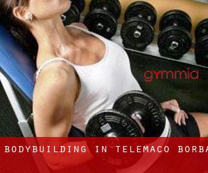 BodyBuilding in Telêmaco Borba