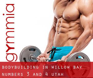 BodyBuilding in Willow Bay Numbers 3 and 4 (Utah)