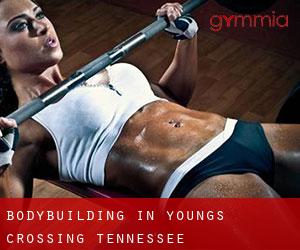 BodyBuilding in Youngs Crossing (Tennessee)