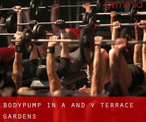 BodyPump in A and V Terrace Gardens