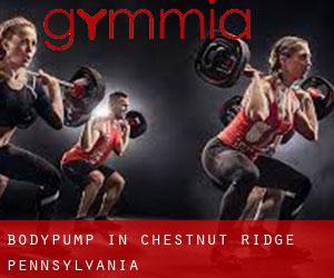 BodyPump in Chestnut Ridge (Pennsylvania)