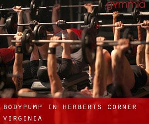 BodyPump in Herberts Corner (Virginia)