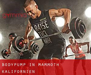 BodyPump in Mammoth (Kalifornien) BodyPump in Mammoth (Kalifornien)