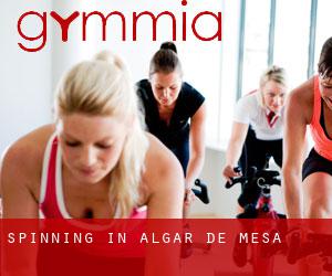 Spinning in Algar de Mesa