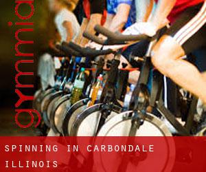 Spinning in Carbondale (Illinois)