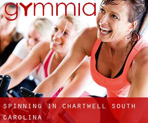 Spinning in Chartwell (South Carolina)