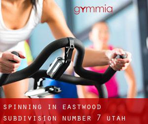 Spinning in Eastwood Subdivision Number 7 (Utah)