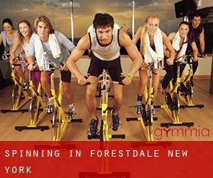 Spinning in Forestdale (New York)