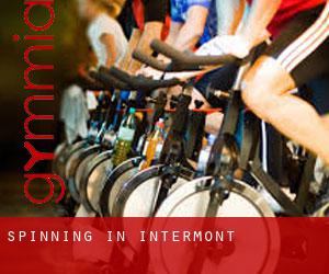 Spinning in Intermont