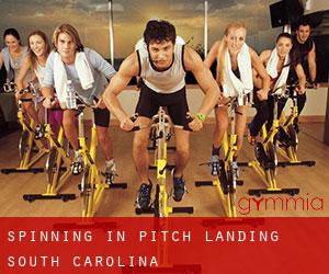 Spinning in Pitch Landing (South Carolina)