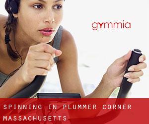 Spinning in Plummer Corner (Massachusetts)