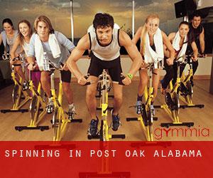 Spinning in Post Oak (Alabama)