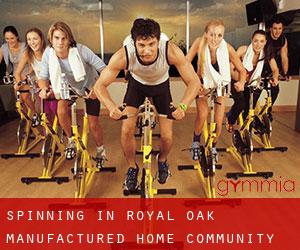 Spinning in Royal Oak Manufactured Home Community