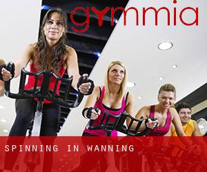 Spinning in Wanning Spinning in Wanning