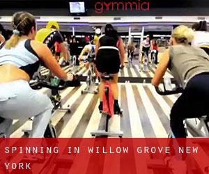 Spinning in Willow Grove (New York)