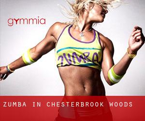 Zumba in Chesterbrook Woods