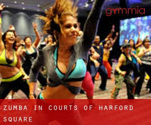 Zumba in Courts of Harford Square