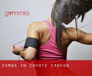 Zumba in Coyote Canyon