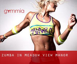 Zumba in Meadow View Manor