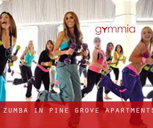 Zumba in Pine Grove Apartments