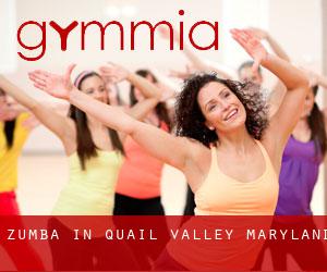 Zumba in Quail Valley (Maryland)