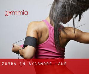 Zumba in Sycamore Lane
