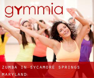 Zumba in Sycamore Springs (Maryland)