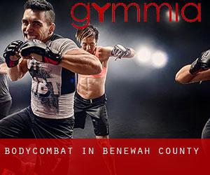 BodyCombat in Benewah County BodyCombat in Benewah County